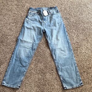 American Eagle Outfitters Light Blue Straight Jeans